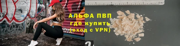 стаф Карпинск