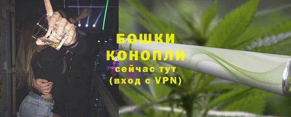 стаф Карпинск