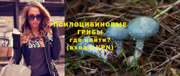 стаф Карпинск