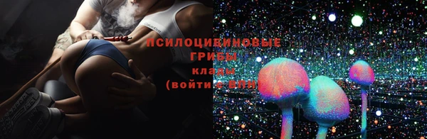 стаф Карпинск